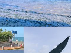 -东辰望海鱼码头·海鲜餐厅