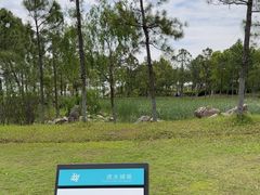 -春花秋色城市公园