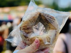 -陆家嘴中心绿地