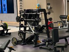 -章鱼健身 Octopus