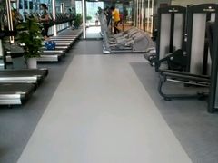 -金吉鸟健身游泳
