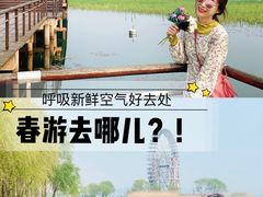 -太湖湖滨国家湿地公园-停车场
