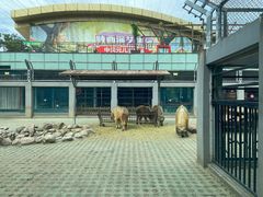 -西安秦岭野生动物园