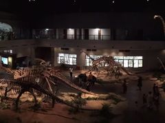 -自贡恐龙博物馆