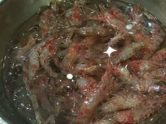 -华源餐厅·海鲜大排档(日月贝店)