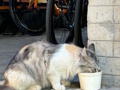 -METAL HANDS(五道营店)