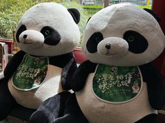 -眉州东坡(民族园店)