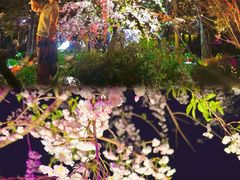-东湖磨山景区