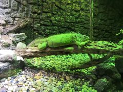 -海合安天津极地海洋公园