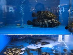 -大头椰·椰子鸡火锅(南宁万象城店)