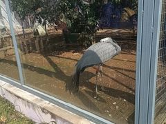 -无锡动物园·太湖欢乐园