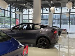 -TESLA 特斯拉(深圳观澜特斯拉直营钣喷中心)