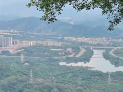 -风云岭森林公园
