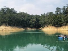 -广州市流溪河国家森林公园