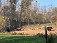 -北京野生动物园