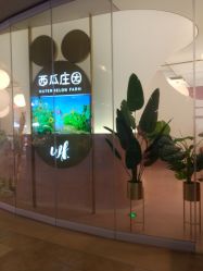 -西瓜庄园儿童摄影
