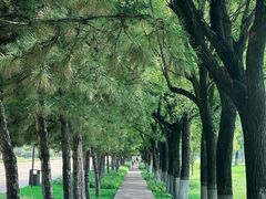 -汉长安城未央宫国家考古遗址公园