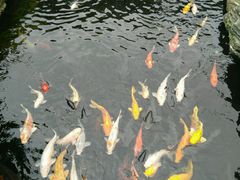 -聚福宝合苑食府(南头镇店)