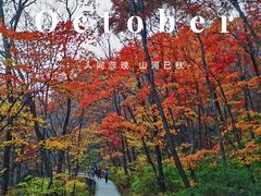-关门山森林公园
