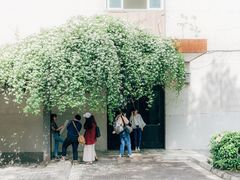-四川大学(望江校区)
