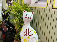 -猫咪博物馆(顶澳仔猫街店)