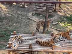 -泉州海丝野生动物世界