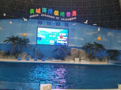 -泉城欧乐堡海洋极地世界