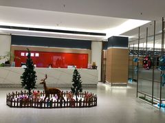 -红鼎豆捞·专注品质海鲜20年(宝丰路店)