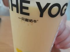 -一只酸奶牛(曲江龙湖星悦荟店)