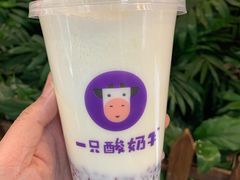 -一只酸奶牛(八一路店)
