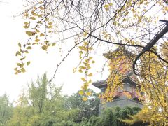 -四川大学(华西校区)