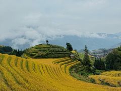 -龙脊梯田