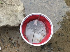 -碓臼峪自然风景区