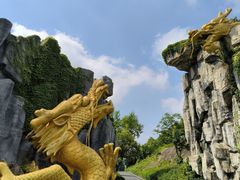-宜兴龙背山森林公园