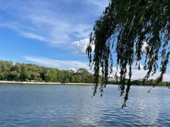 -北陵公园