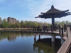 -前关湿地公园