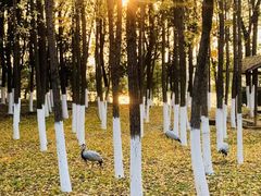 -艾溪湖湿地公园