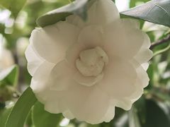 -宝岩生态观光园