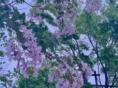 -凤城河风景区
