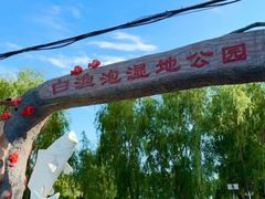 -白渔泡湿地公园