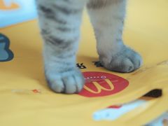 -麦当劳(海岸城店)