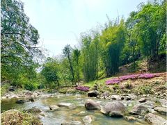 -广州白江湖森林公园