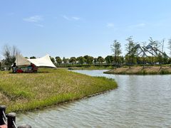 -春花秋色城市公园