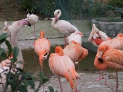 -杭州野生动物世界