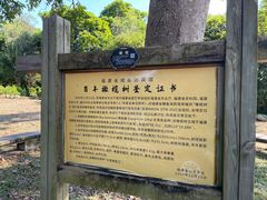 -福建鲤鱼洲酒店