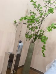 -上海首尔丽格医疗美容医院