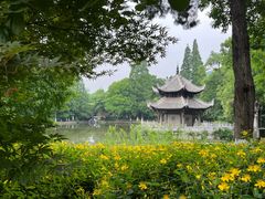 -习家池
