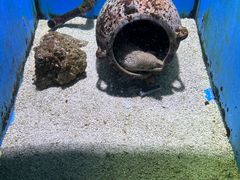 -大连老虎滩海洋公园
