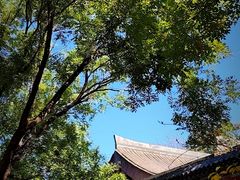 -元大都城垣遗址公园