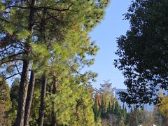 -白塘生态植物园